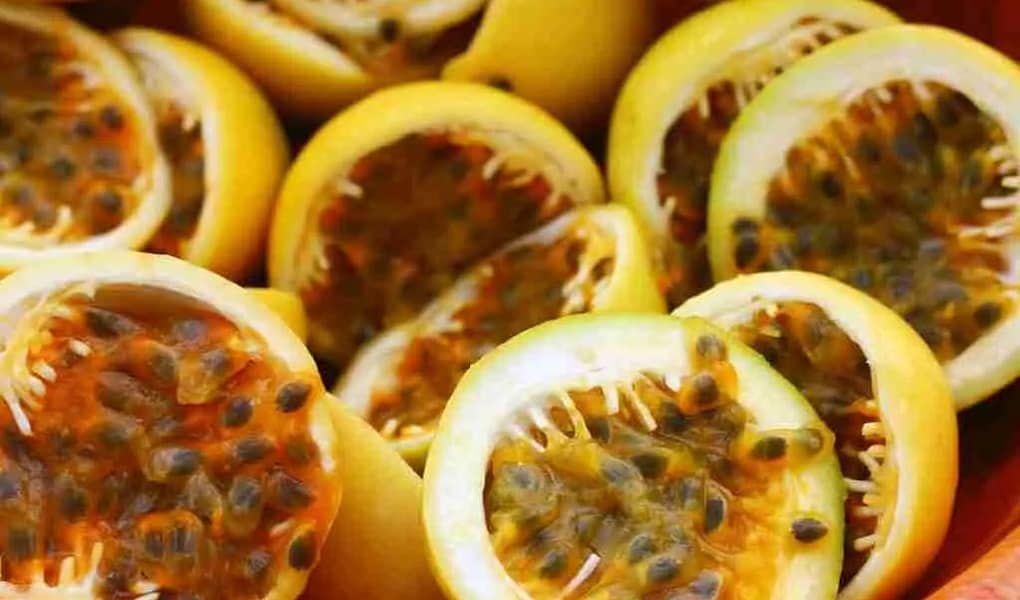 Receitas com maracujá