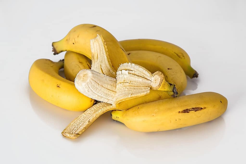Adubo com Cascas de Banana: Dicas para uma Horta Saudável e Sustentável Adubo com Cascas de Banana: Dicas para uma Horta Saudável e Sustentável