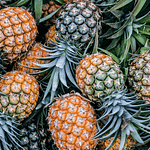 Receitas deliciosas com abacaxi plantar abacaxi em casa