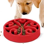 Comedouros Lentos para Cachorros - Dicas de como escolher e benefícios para a saúde do seu pet Comedouro lento