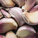 Descubra o Segredo das Cascas de Alho: Uma Fonte Surpreendente de Utilidade e Sabor! Cascas de Alho