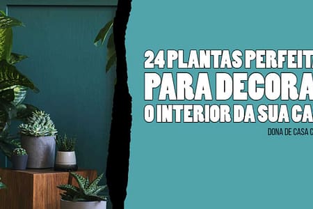 24 plantas perfeitas para decorar o interior da sua casa 24 PLANTAS PERFEITAS PARA DECORAR O INTERIOR DA SUA CASA