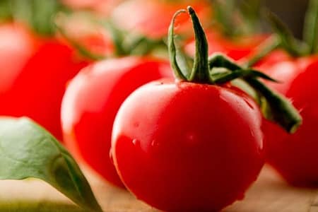 Como plantar tomate em garrafa pet plantar tomate em casa
