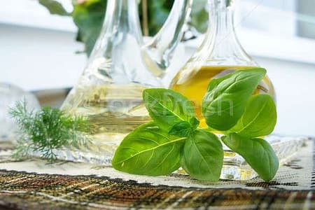 VINAGRE AROMATIZADO COM MANJERICÃO vinagre de manjericao
