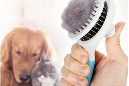 Escova Removedora Tira Pelos: A Aliada Perfeita para Donas de Casa Escova Removedora Tira Pelos