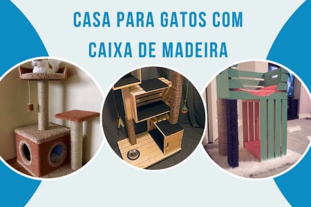 Casa para Gatos de Caixa de Madeira