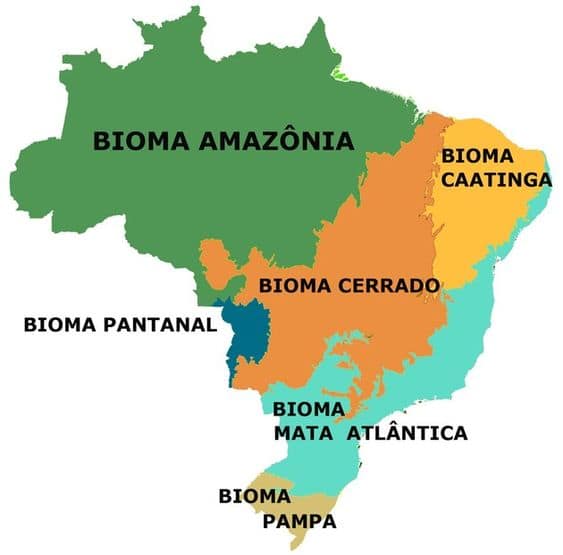 Mapa do Brasil